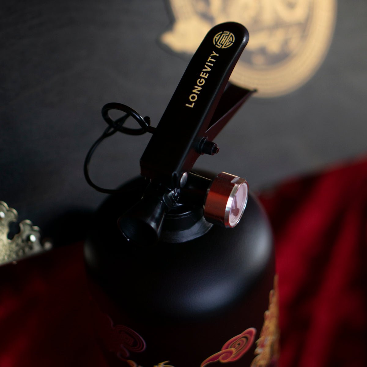 Limited Edition Dragon Edition 2024 1kg Fire Extinguisher (Customizable Name) - Fire Fighter Industry
